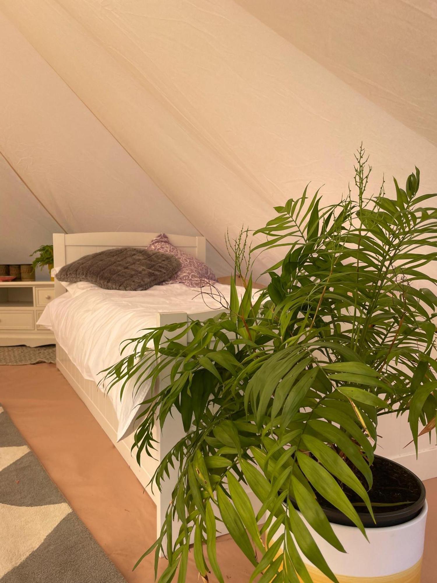 Trevena Cross Glamping & Camping Helston Exterior foto