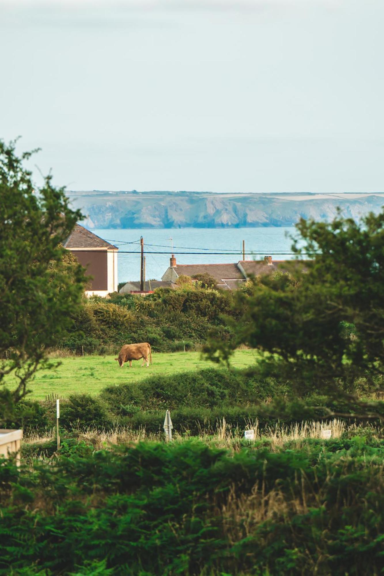 Trevena Cross Glamping & Camping Helston Exterior foto