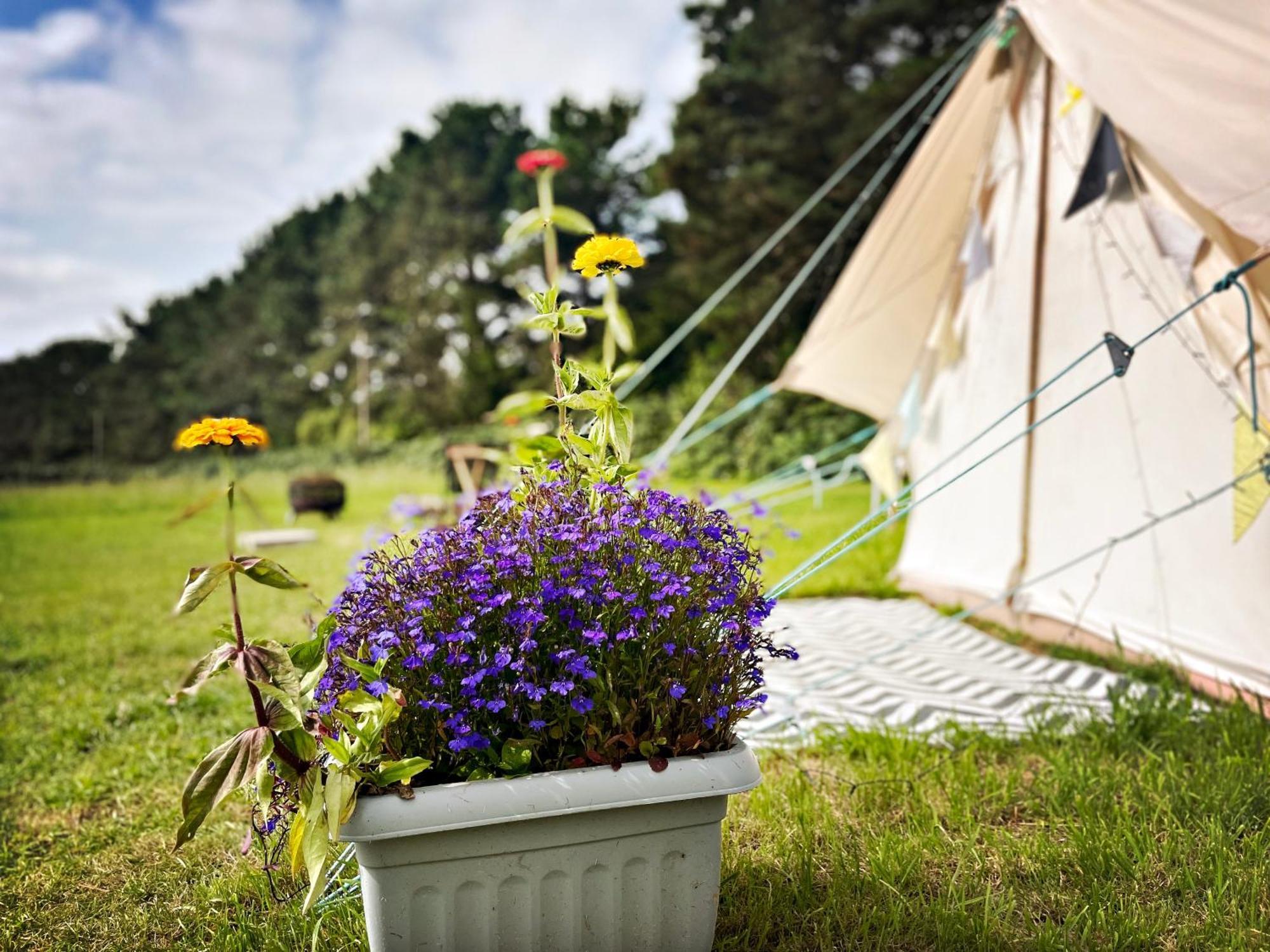 Trevena Cross Glamping & Camping Helston Exterior foto